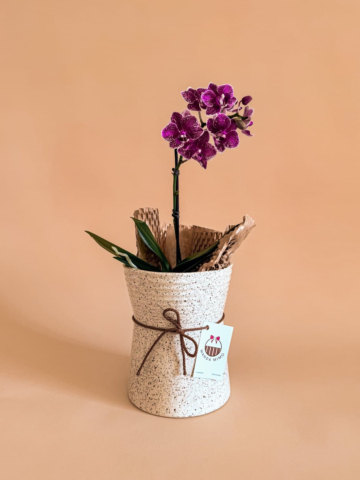 Vaso Cerâmica & Mini Orquídea da categoria Floricultura foto do produto